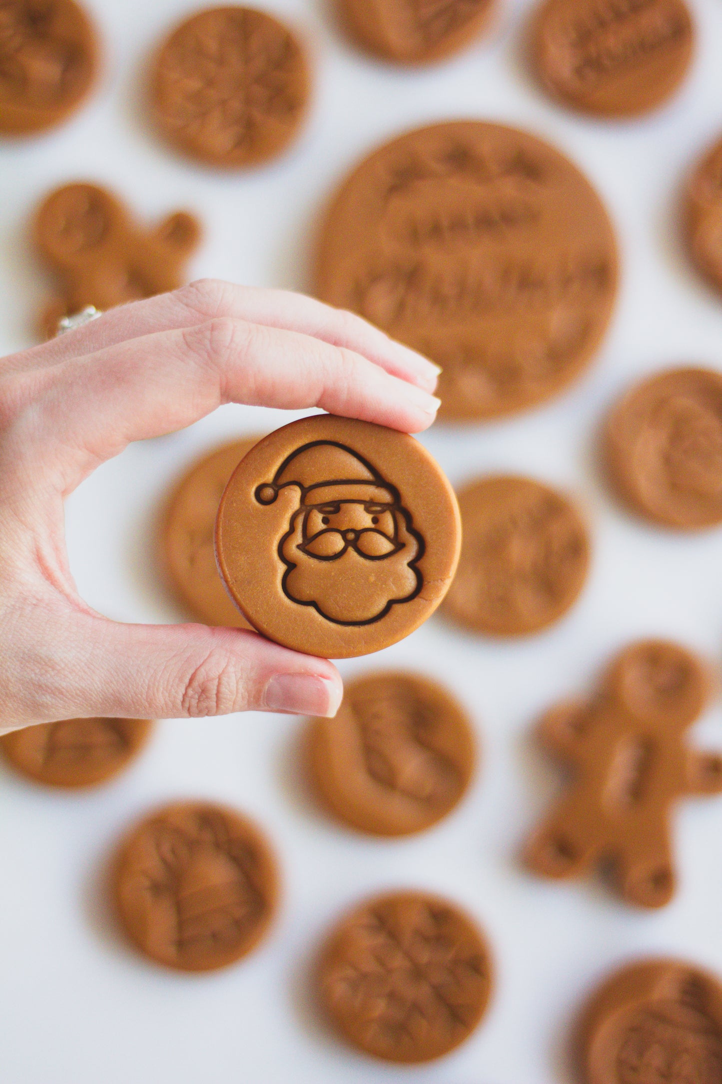 Bulk Pack - Festive Christmas Fudge - 22g Small