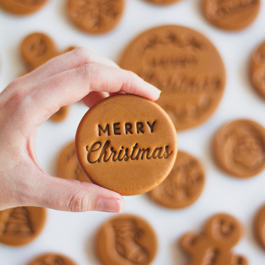 Festive Christmas Fudge - 40g Medium