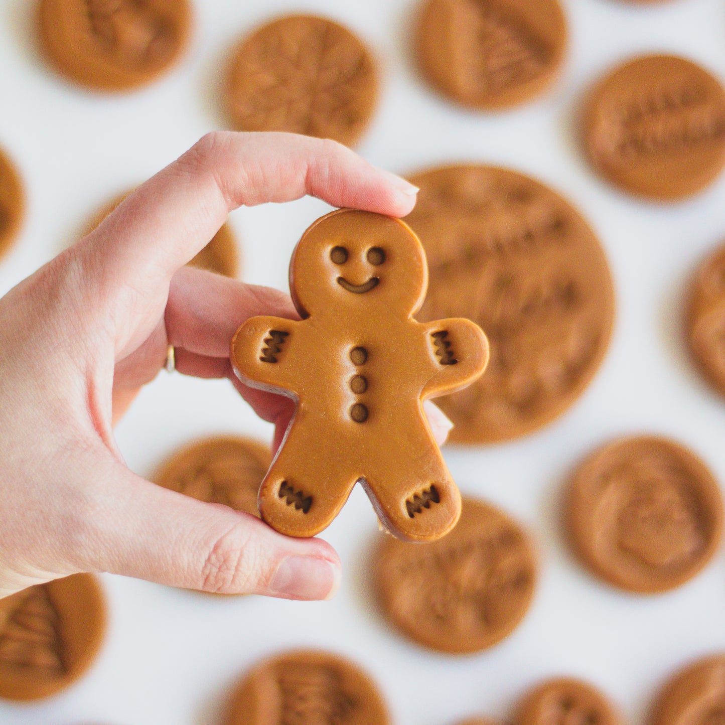 Custom Shaped, Festive Christmas Fudge - 40g Medium (aka Buttons)