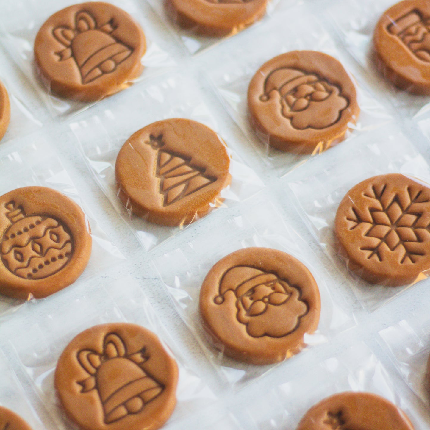 Bulk Pack - Festive Christmas Fudge - 22g Small